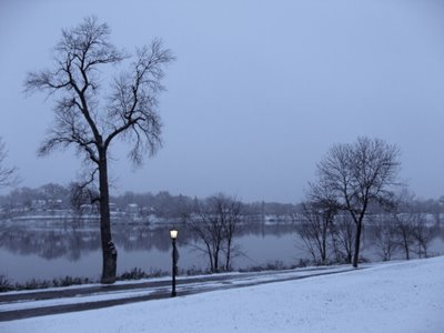 Winter in war - The trees look bald...the streets are lonely..it seems as if winter is on war...