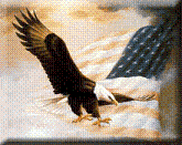 america  - usa american way