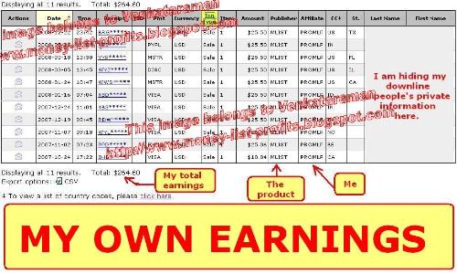 My own earnings proof - This one is my own earnings as affiliate commission. All I did was to send people to the website. The product was really good and it really worked.