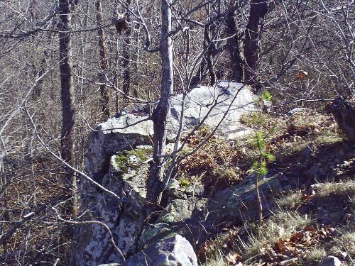 Nature Photo - Photos from Arkansas