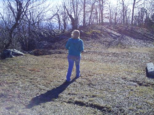 Nature Photo - Photos from Arkansas