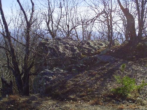 Nature Photo - Photos from Arkansas