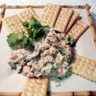 spicy tuna salad,nham,nham! - this recipe is delicious and vey easy to prepare!