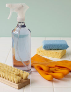 cleaning stuff - cleaning stuff, sponges and detergent