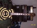 my zakkenstein - Selling great guitars cheap!