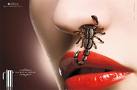 Coffee bites! - Great ad for Stella coffeemaker