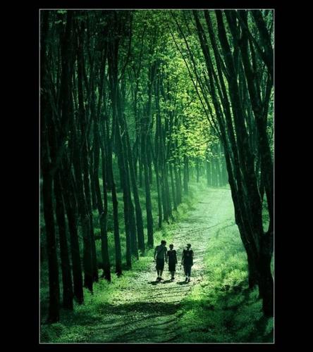 Shadow Light - Two people walking on shadow light .
