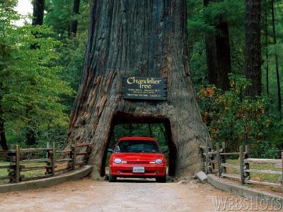 Car - car photo