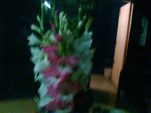 Flowers in a vase - The fragrent and beauty of flowers delighted every body.We can make habit to buy flowers.Then our mind will remain chaeerful for all the time.