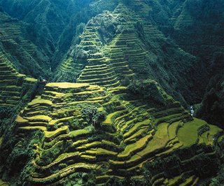 Banaue Rice Terraces - One of the world's greatest wonders,these majestic terraces were made by our native ancestors by hand many,many years ago.