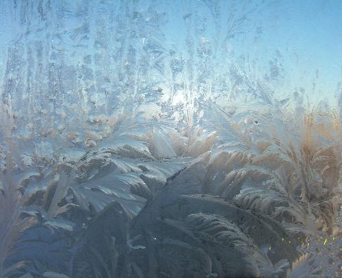 Frosted window - Doesn't Jack Frost paint beautiful pictures