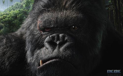 KIng kong - Image of king kong not real one