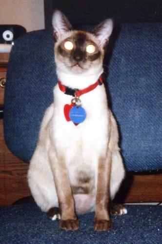 My Gracie - Needs your prayers! My Gracie - Needs your prayers!
