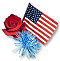 Rose and The Flag - Flag of the USA