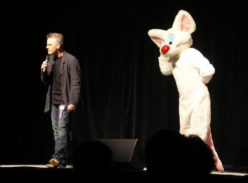 rp the voice of pinky and pinky - rob is the voice of pinky from pinky and the brain.he is also the voice of yakko of the warner kids.if you need more info let me know and i'll tell you more.