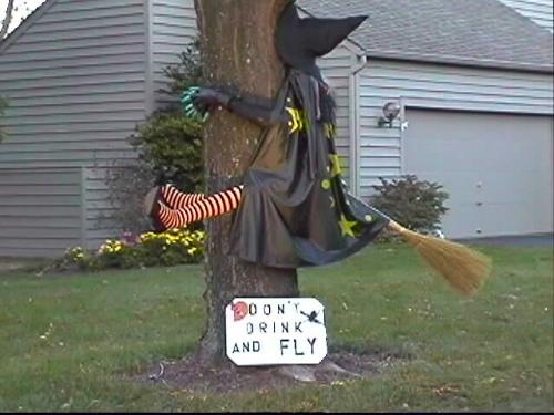 'Can drive a stick if she has to ...' - Halloween humour