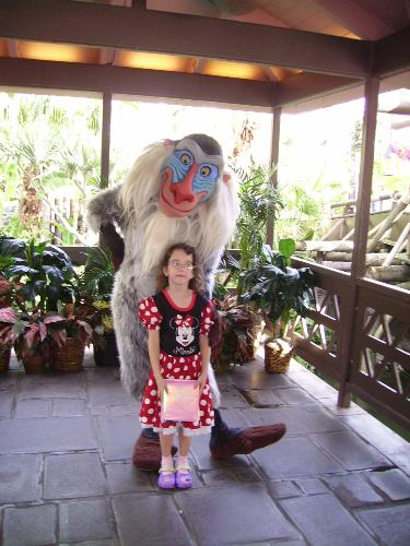 rafiki, lion king - rafiki from the lion king