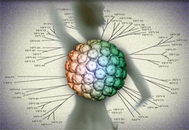 hpv - Project HPV