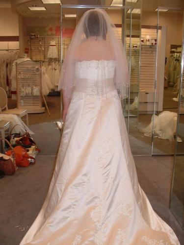 back of dress - weddings are fun