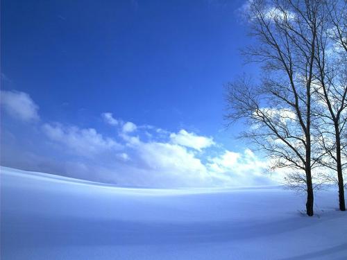Natural beauty - Nature