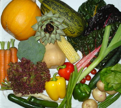 fresh veggies ready - all sorts of vegetables should be taken for a balanced diet. special focus should be on green leafy vegetables as they carry maximum number of nutrients in them.