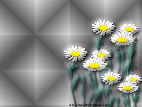 flower  - nice