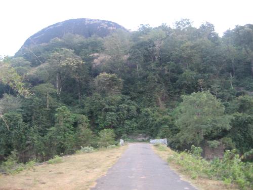 Welcome to The Jungle - Taken by me on the way to the forest
