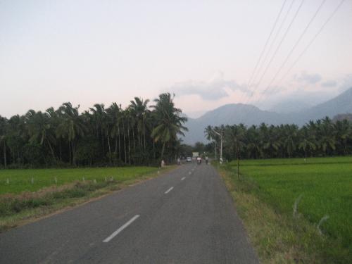 The Road to Paradise named nature - Paddy fields all the way to the forest