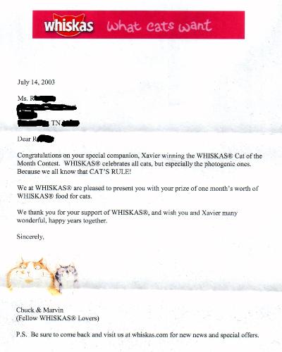 My cat won the cutest kitty award - my cat Xavier won the award for being cute My cat won the cutest kitty award - my cat Xavier won the award for being cute