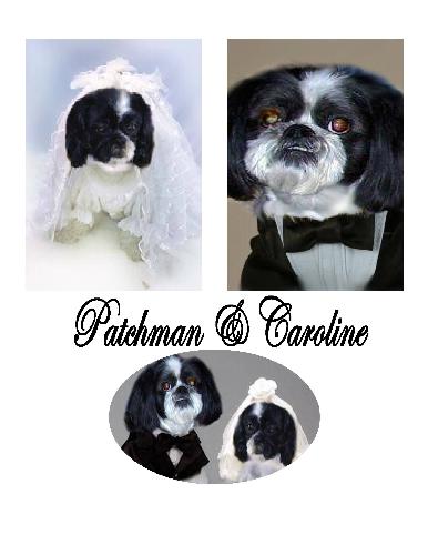 they got married  - patchman and caroline wedding