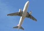 airplane - photo of an airplane taking off