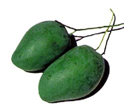 Green Mangoes - Perfect with Coke.