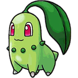 chicorita - cute chicorita pokemon character