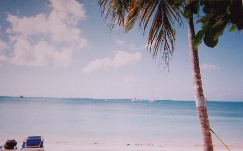 heaven on earth...jamaica - This was our jamaican beach that we were on. it was the best vacation ever and I love it!