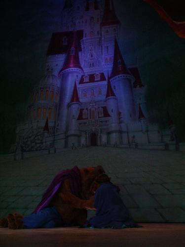the beast - the beast during the live show at disney