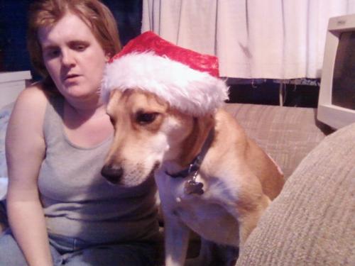 My dog and me - Here is my dog as a santa's elf. How adorable.