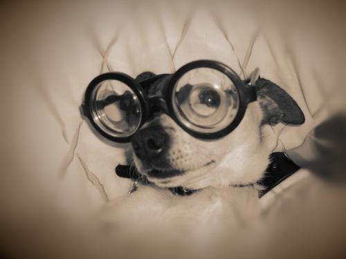 why everything is so big-------- - why everything is so big------------