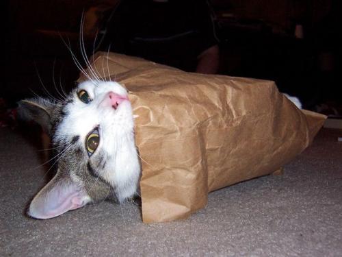 special delivery---------- - special delivery------------