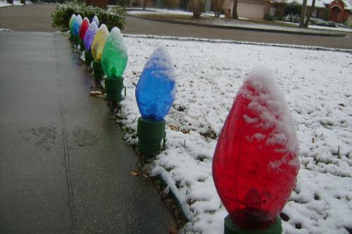 Christmas Decorations - These are jumbo sized Christmas lights that lined the walkway to our front door for Christmas, 2008.