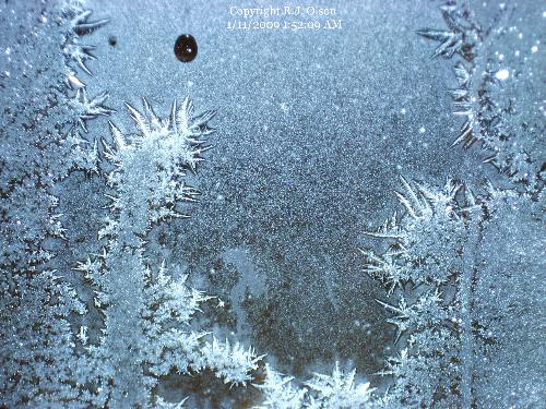 Jungle Crystal - Looks like an ice jungle to me. Jungle Crystal - Looks like an ice jungle to me.