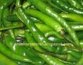 Raw green chilly - How a raw green chilly looks.