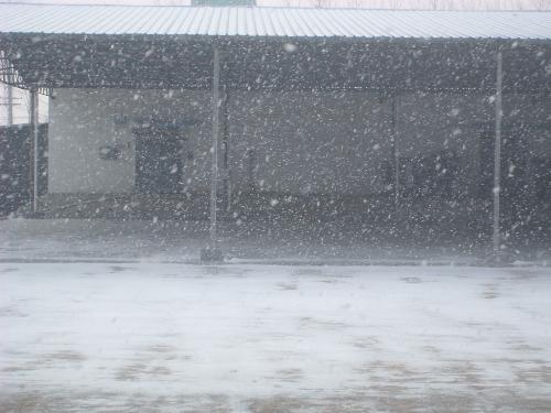big snow - local weather