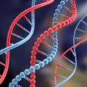 Strands of DNA - DNA, the stuff of life