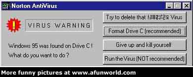 Antivirus - Anti viruses are the protection to your computer we need this to avoid errors and to prevent damage. It is a big problem when you have virus or malwares in your computer so better to have one of these for the health of your pc.