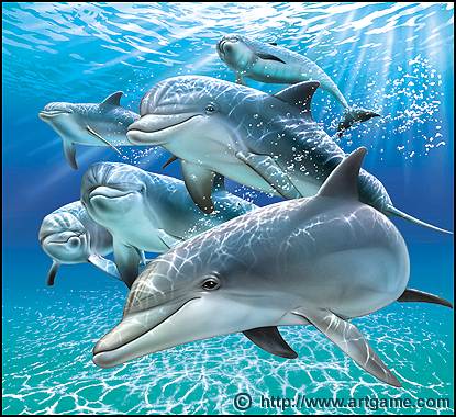 catoon of dolphins - looks like real but not