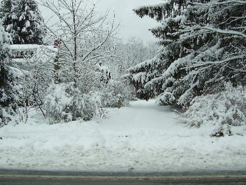 Picturesque winter view - That is my mother's house buried under all that snow as seen from my house across the road.