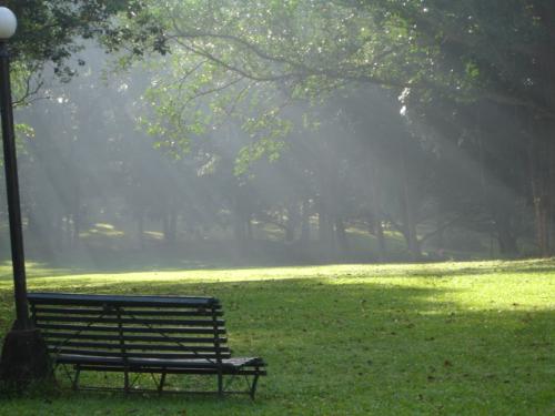 Bench - Silent Retreat