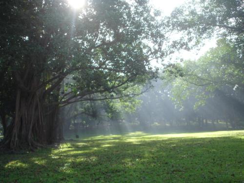 Sunshine - Silent Retreat