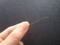 Greying hairs - My hairs are geeting white suddenly?