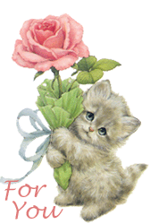Cat - cat with rose